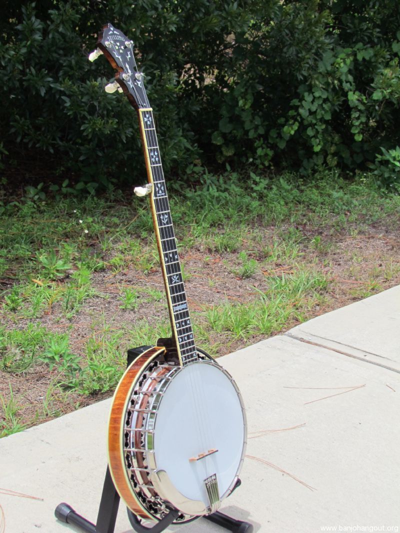 Stelling sunflower banjo for sale hotsell