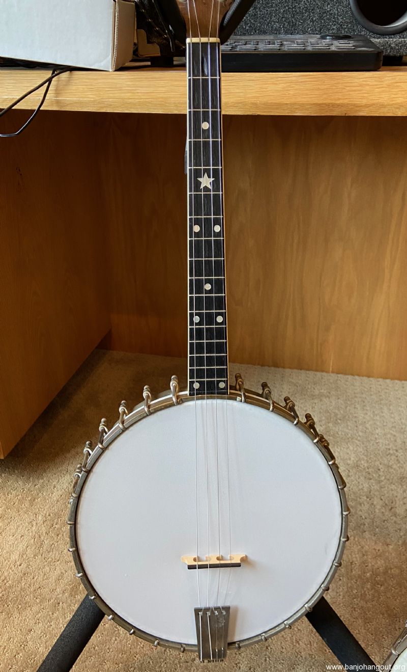 Vega whyte laydie banjo hotsell