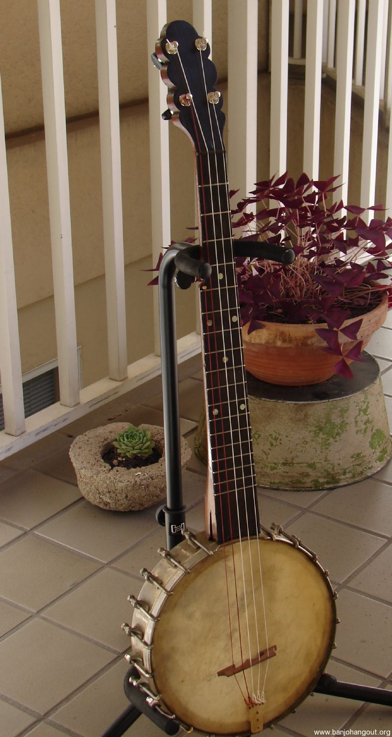 Pony banjo online