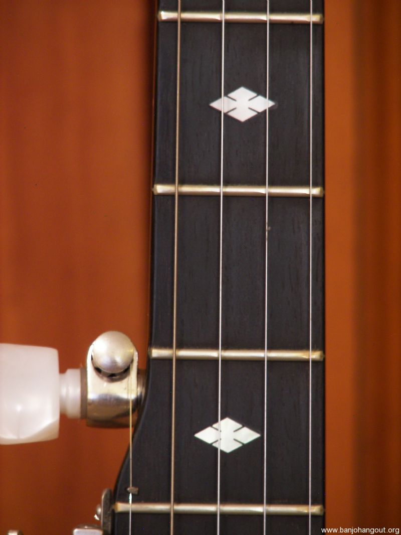 solid body electric banjo