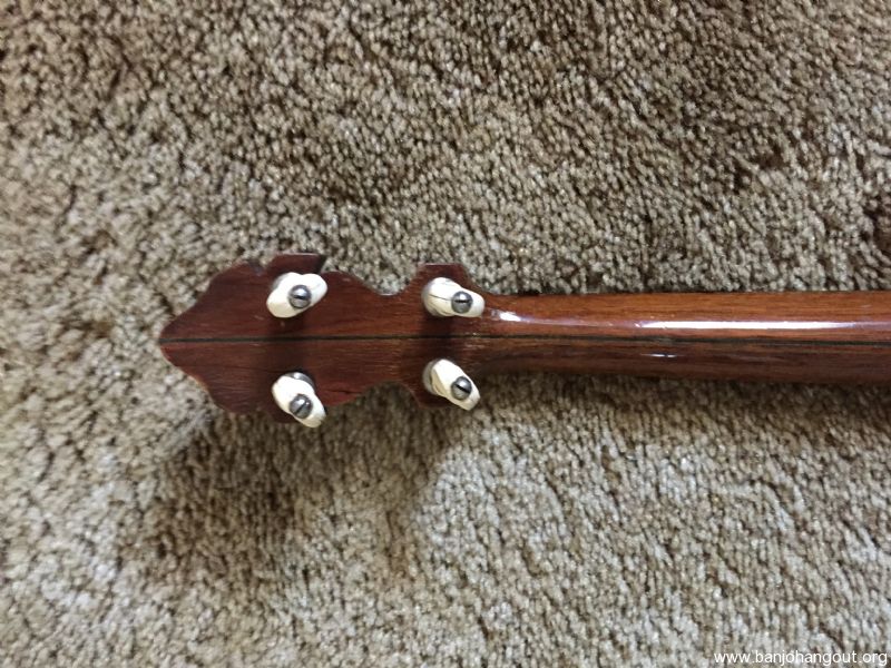 Banner blue banjo hotsell