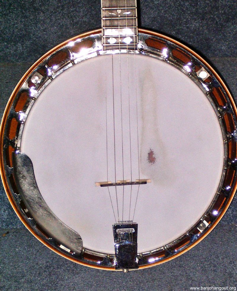 Gold Star Banjo GF100 Used Banjo For Sale at