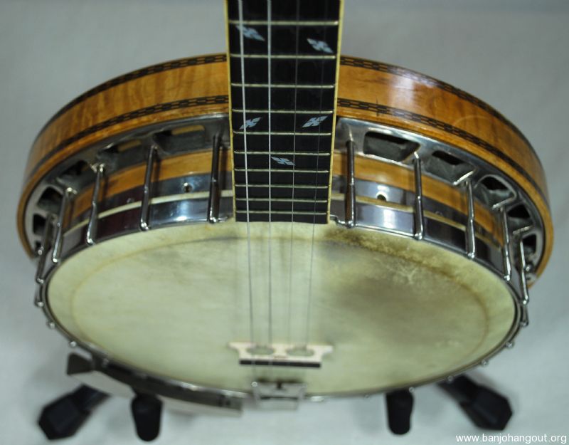 Epiphone recording on sale a tenor banjo