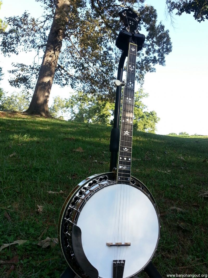 Stelling Bellflower SOLD Used Banjo For Sale at