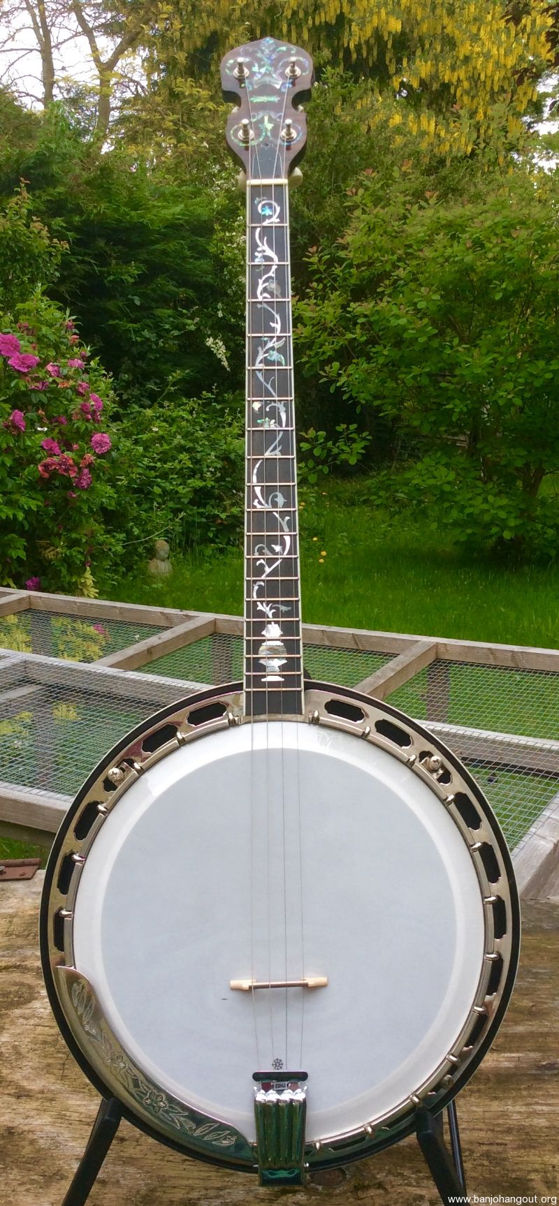 Gold Tone Deluxe Arch Top Tenor Banjo Used Banjo For Sale at