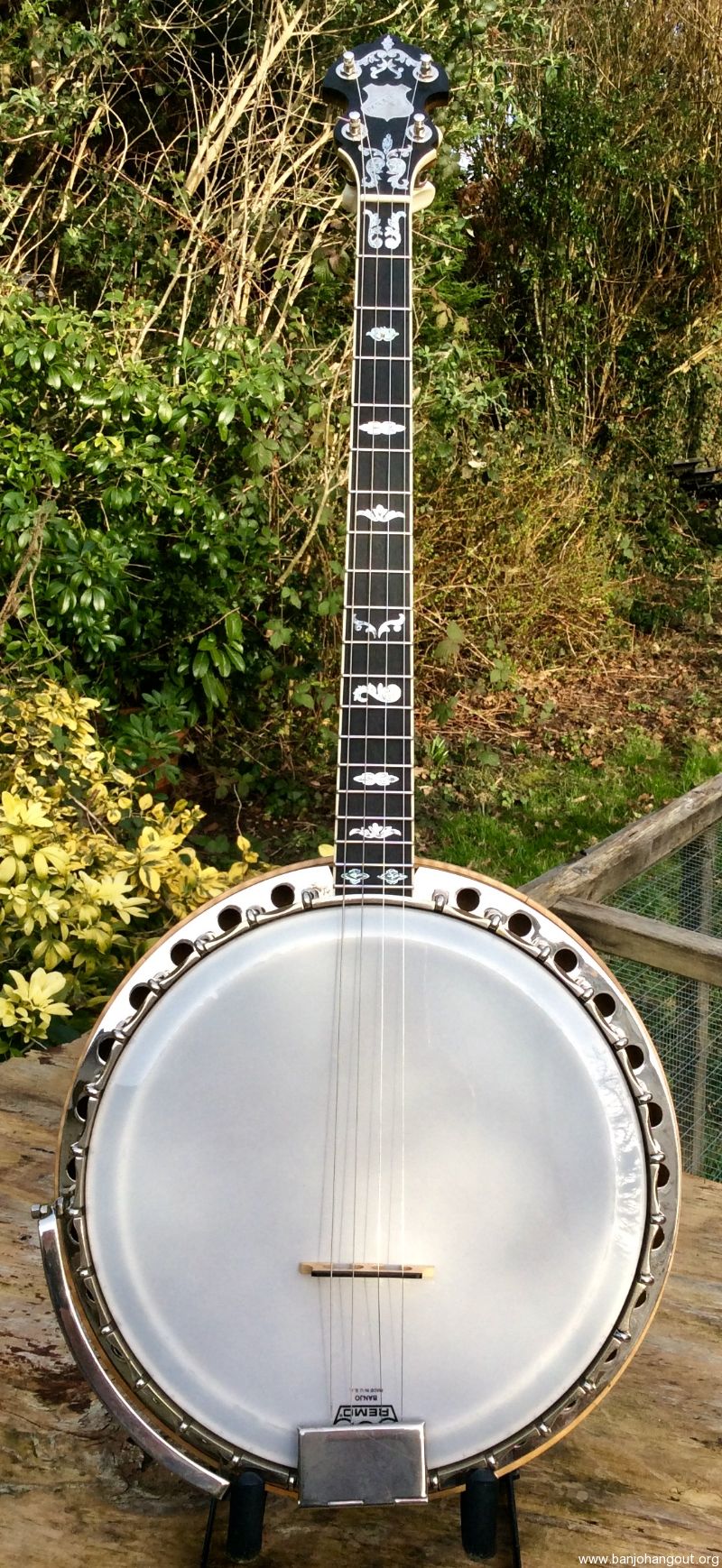 Clifford Essex Paragon Tenor Banjo Used Banjo For Sale at