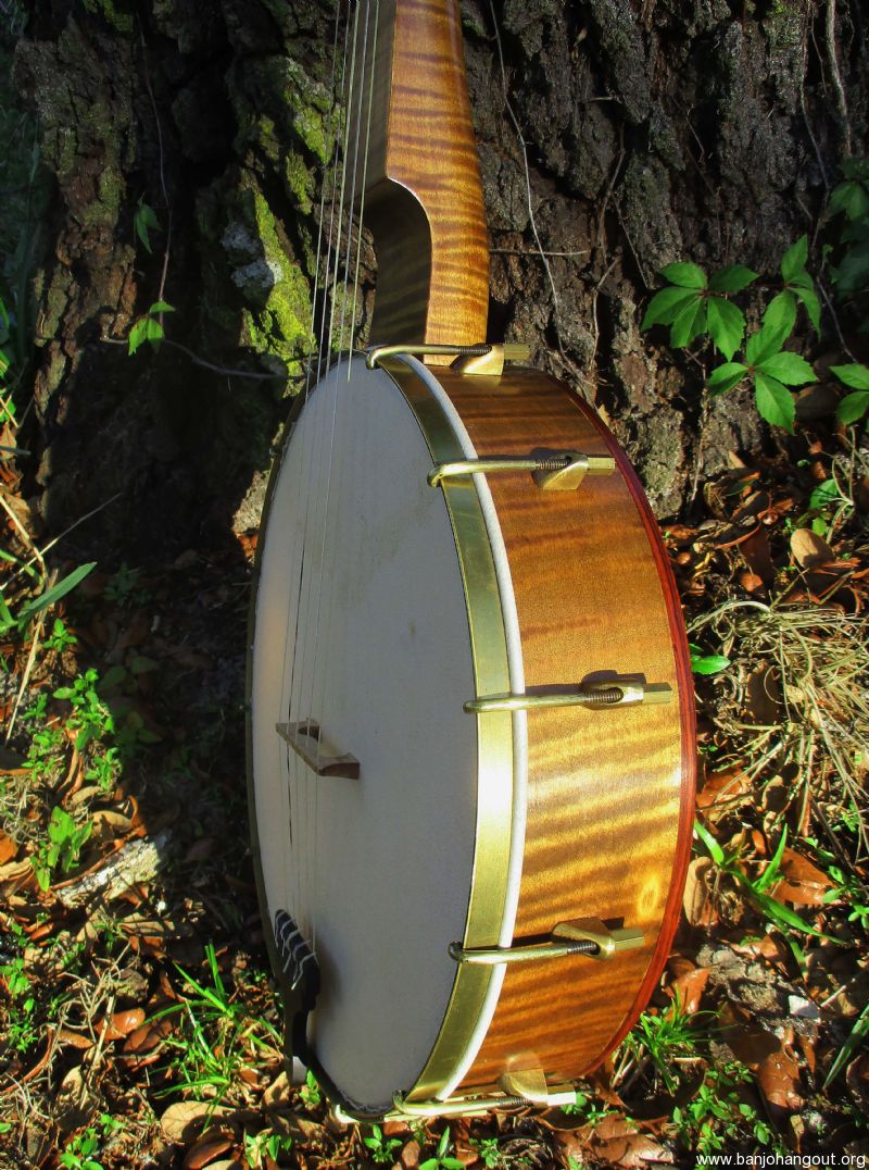 tefview banjo music for dooly
