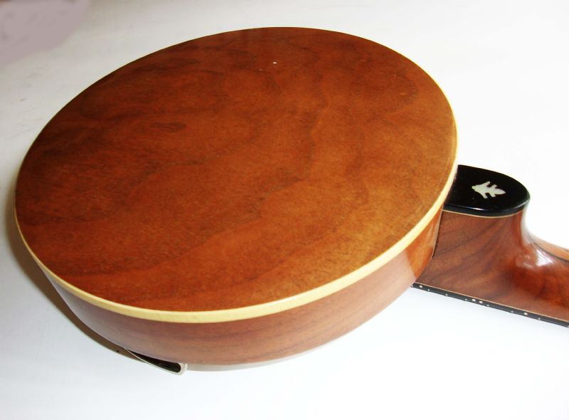 Ludwig Wendall Hall Professional Banjo Uke Used Banjo For Sale at