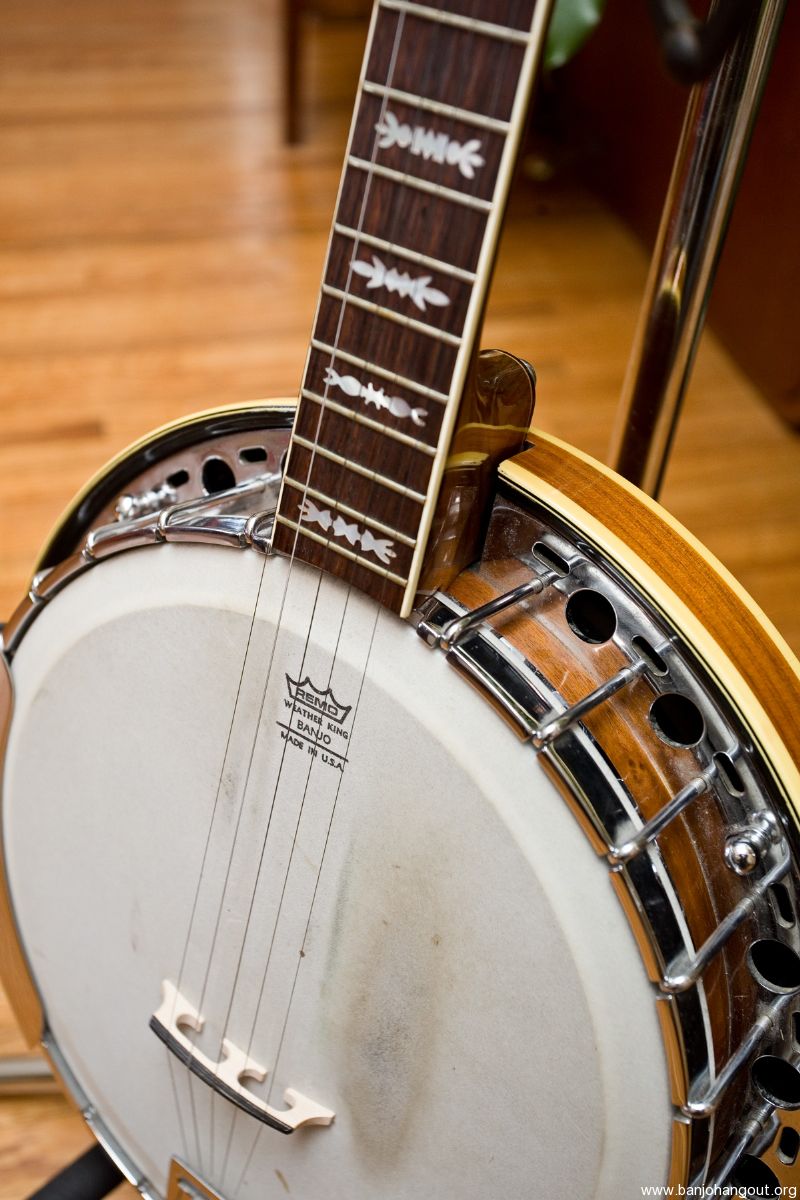 Fender Artist 5 string Banjo with archtop tonering Used Banjo For