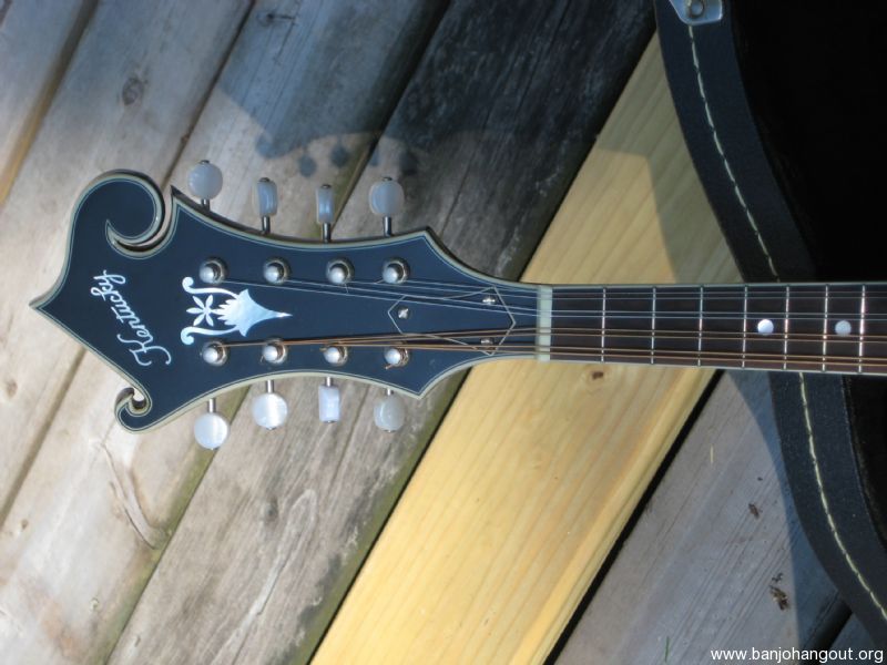 Kentucky mandolin km 675 acetonut