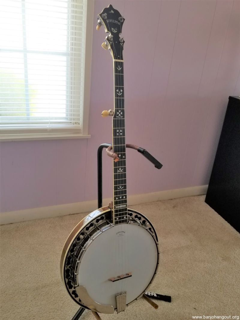Stelling bellflower banjo discount for sale