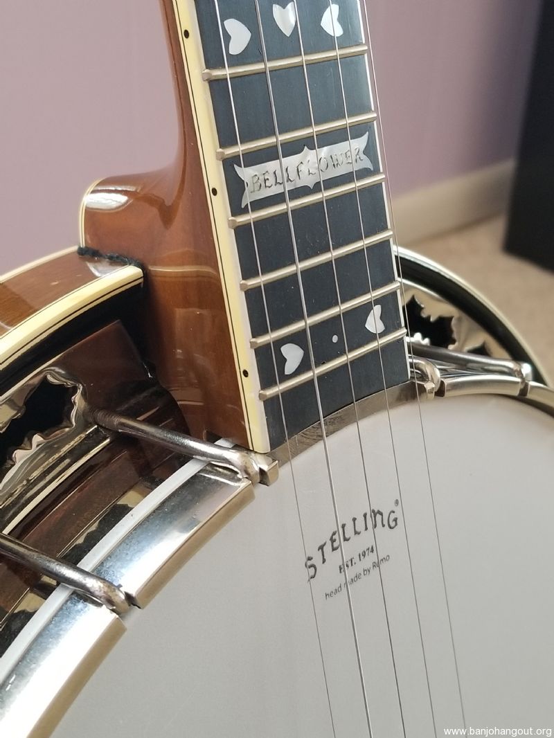 Stelling bellflower banjo discount for sale