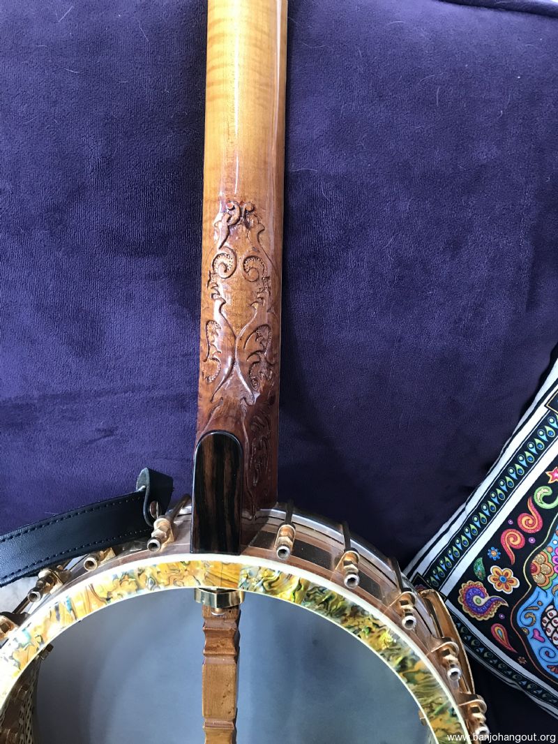 Buckmaster open back banjo Used Banjo For Sale at