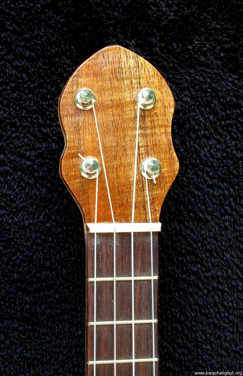 Barry Sholder Gourd Banjo Ukulele010T Used Banjo For Sale at