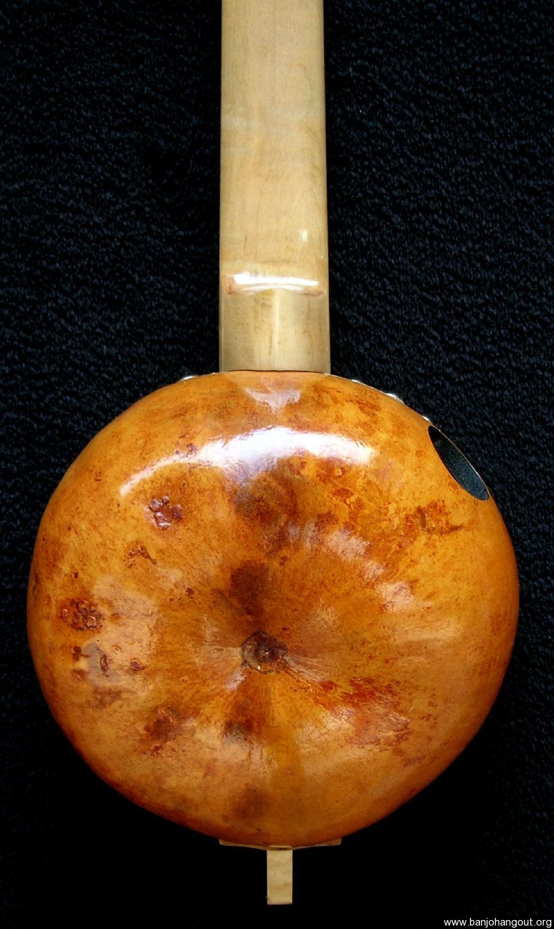 Barry Sholder Gourd Banjo Ukulele010T Used Banjo For Sale at