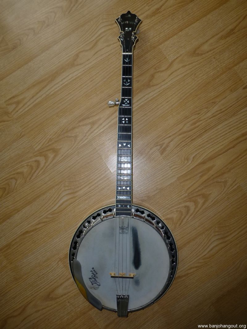 STELLING BANJO FOR SALE Used Banjo For Sale at