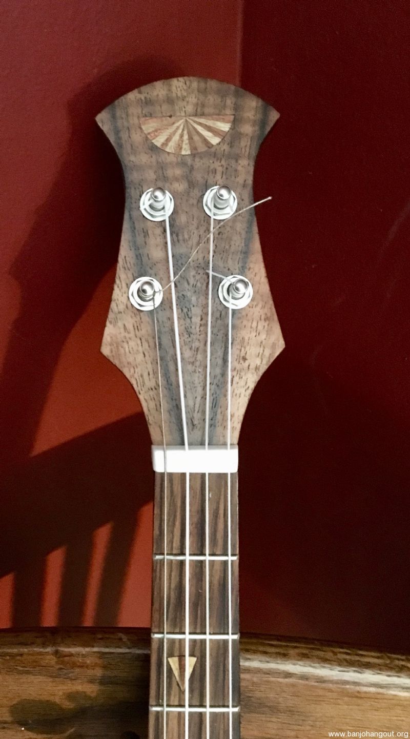Price Cut 5 String Banjo Lute By Jbh Guitars Used Banjo For Sale At Banjobuyer Com