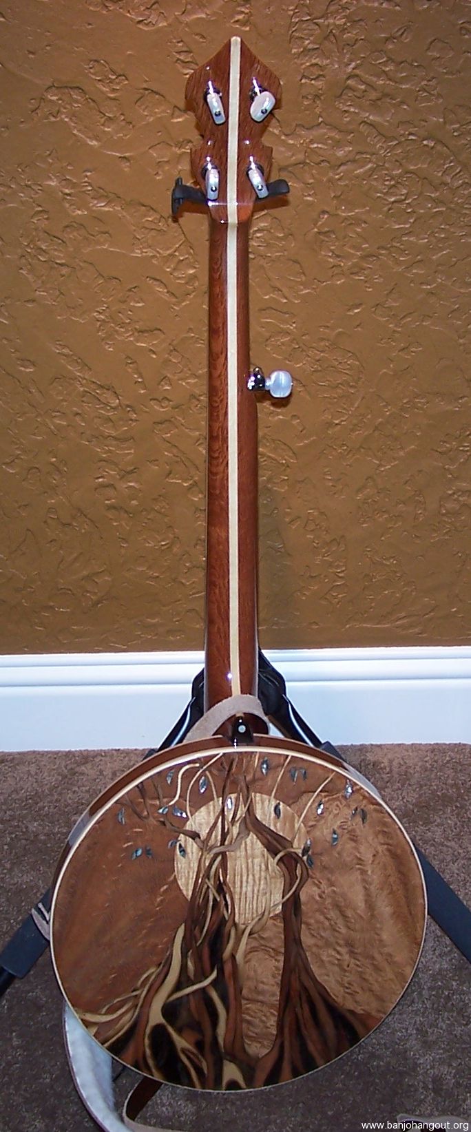 Eucalypt “Strangler Fig” Bluegrass Banjo (SN EB0093) Used Banjo For