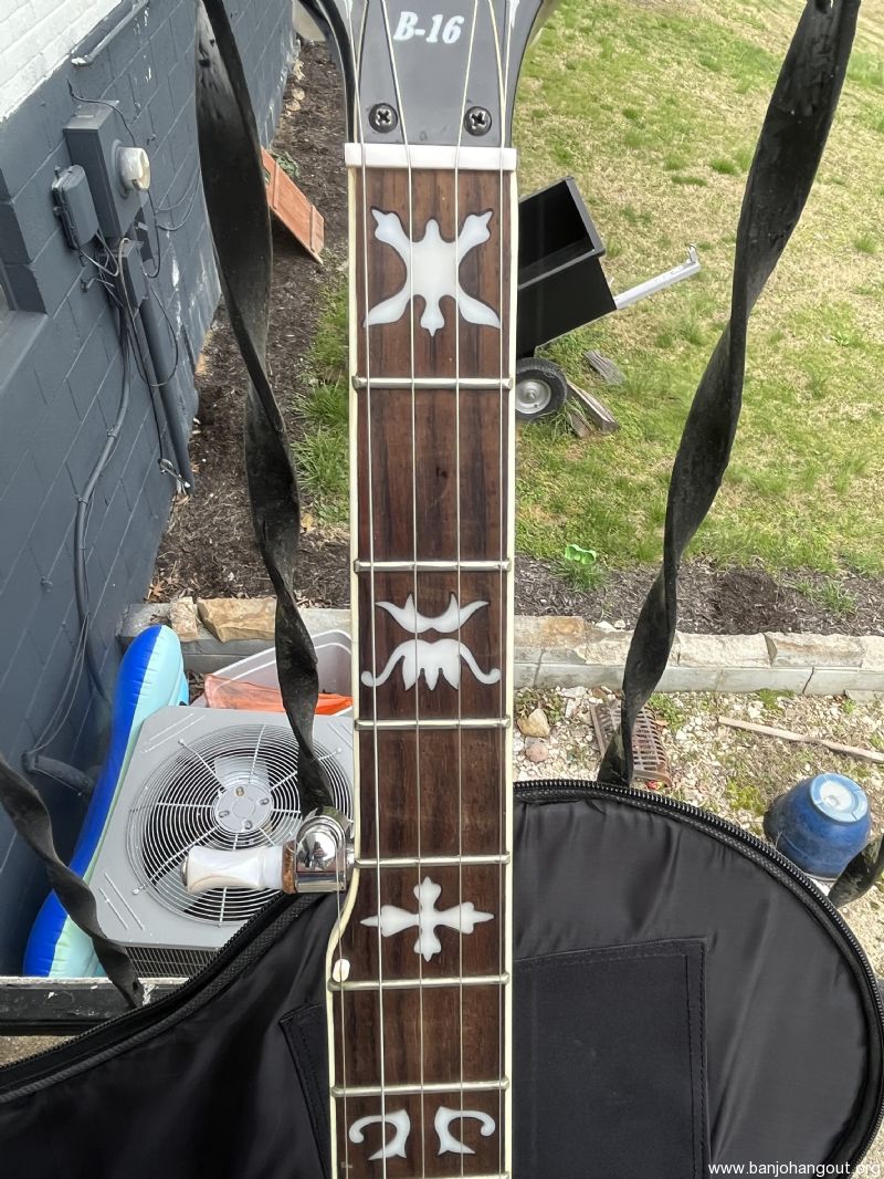 Washburn B16 Banjo (reduced price) Used Banjo For Sale at