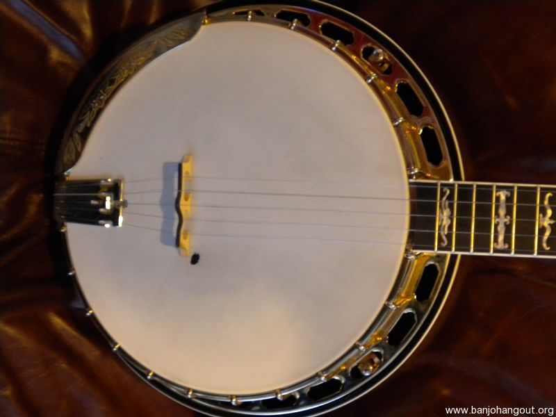 Washburn B17 Used Banjo For Sale at