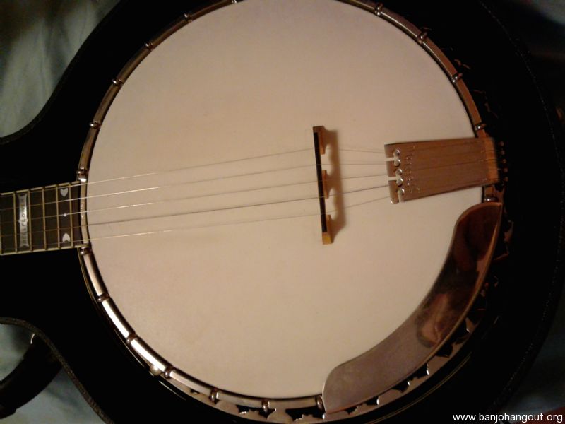 stelling bellflower Used Banjo For Sale at