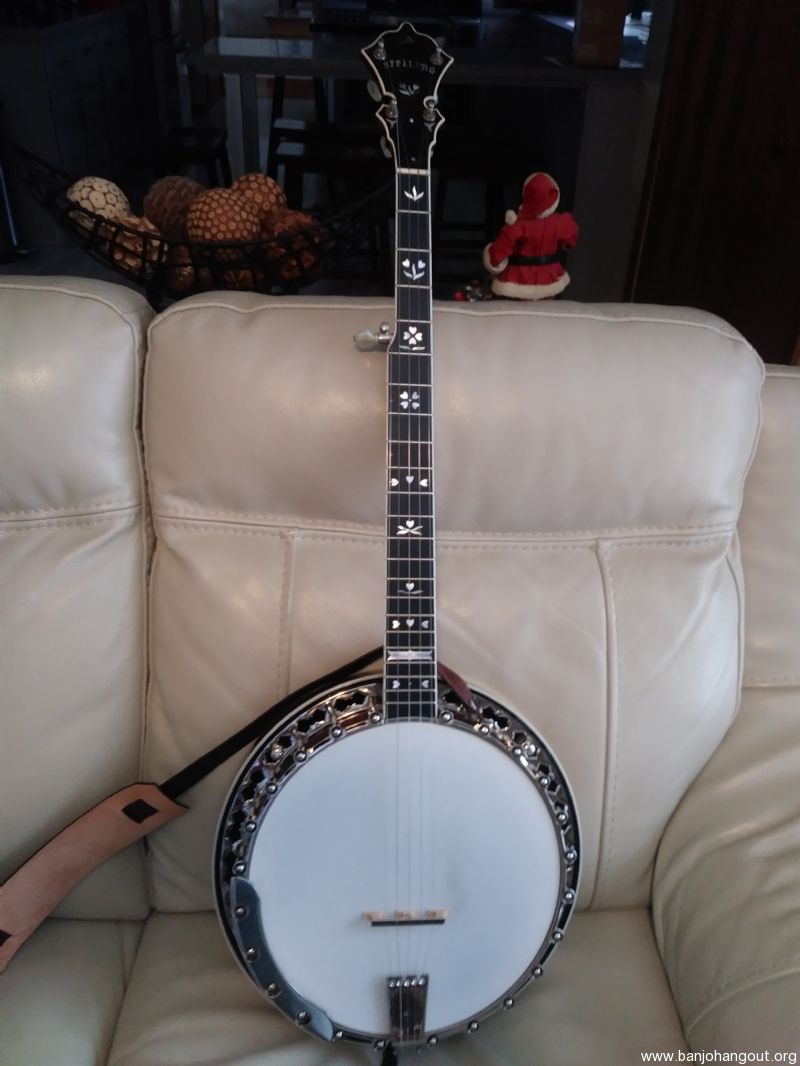 Stelling bellflower banjo discount for sale
