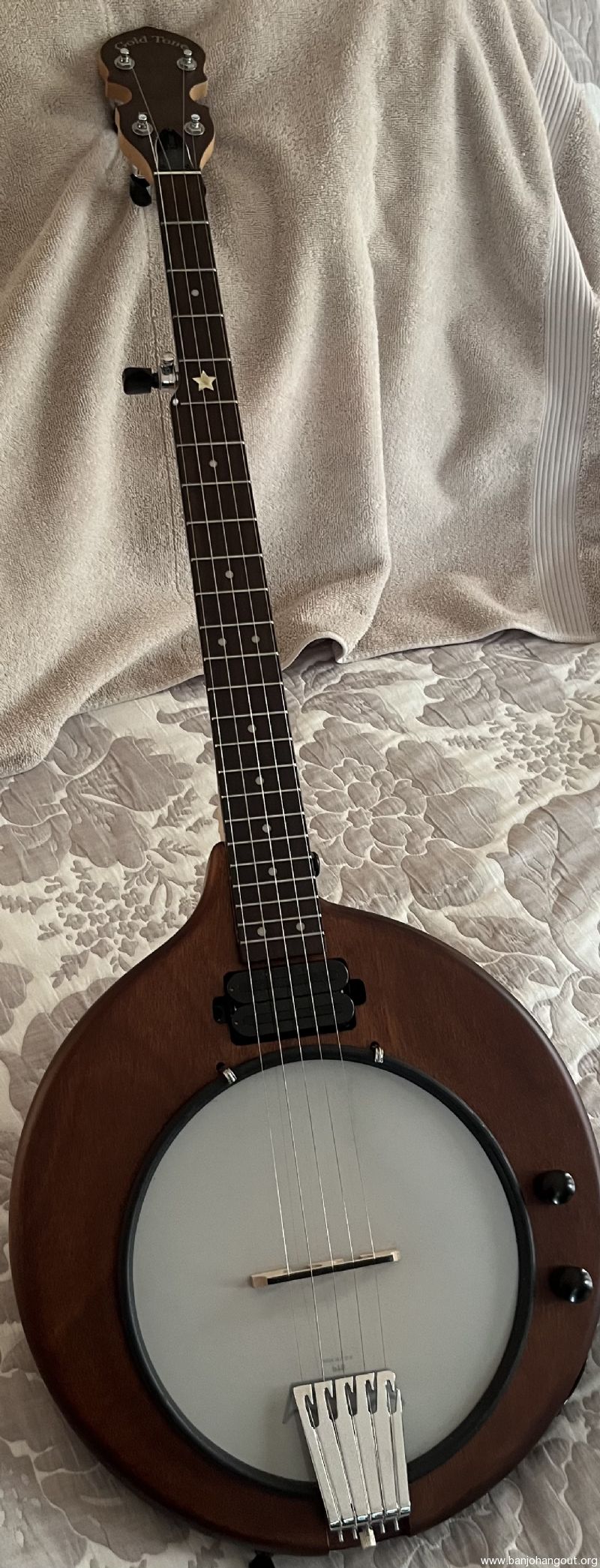 Gold tone EB5 electric banjo Used Banjo For Sale at