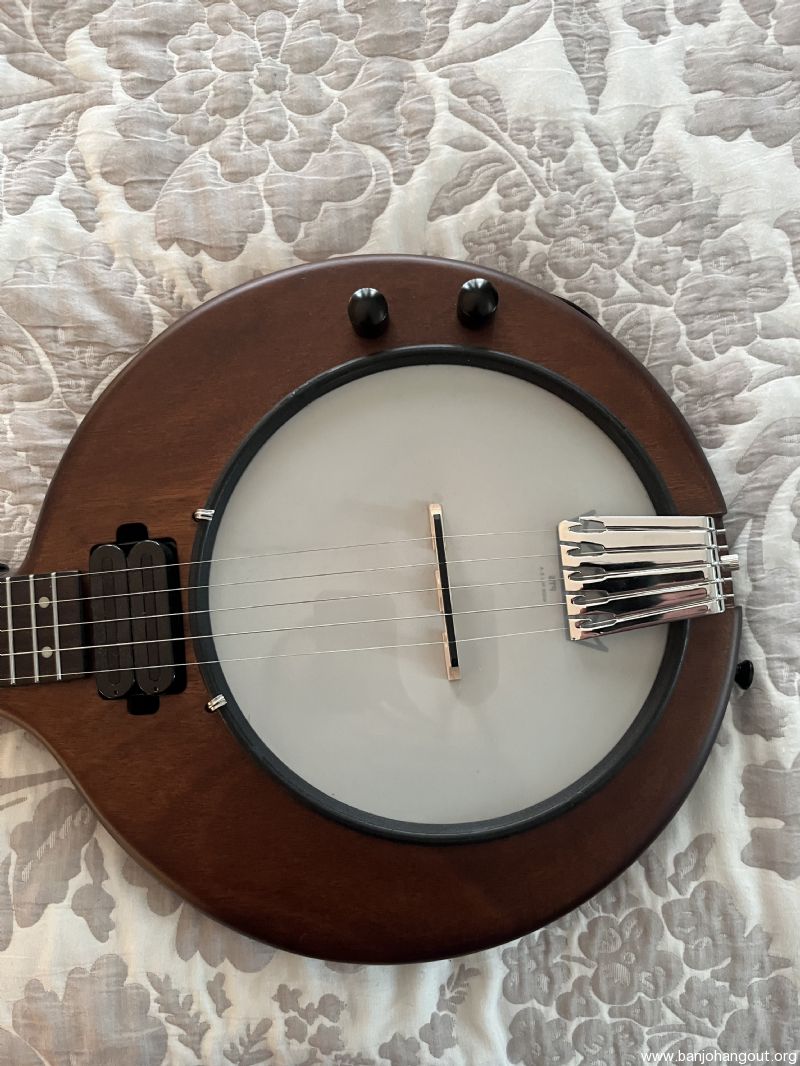 Gold tone EB5 electric banjo Used Banjo For Sale at