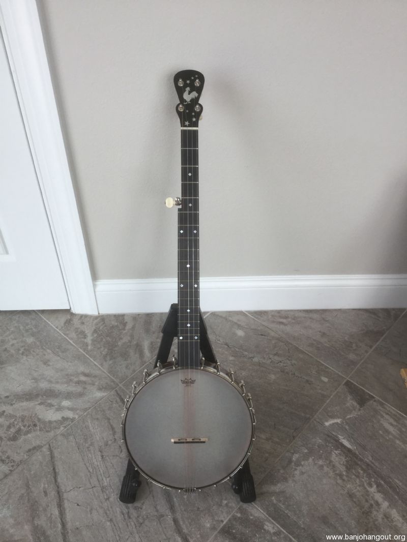 Cedar Mountain Banjo 11 Dwight Diller Rosewood Wood Model 1400.00 Used Banjo For Sale at BanjoBuyer