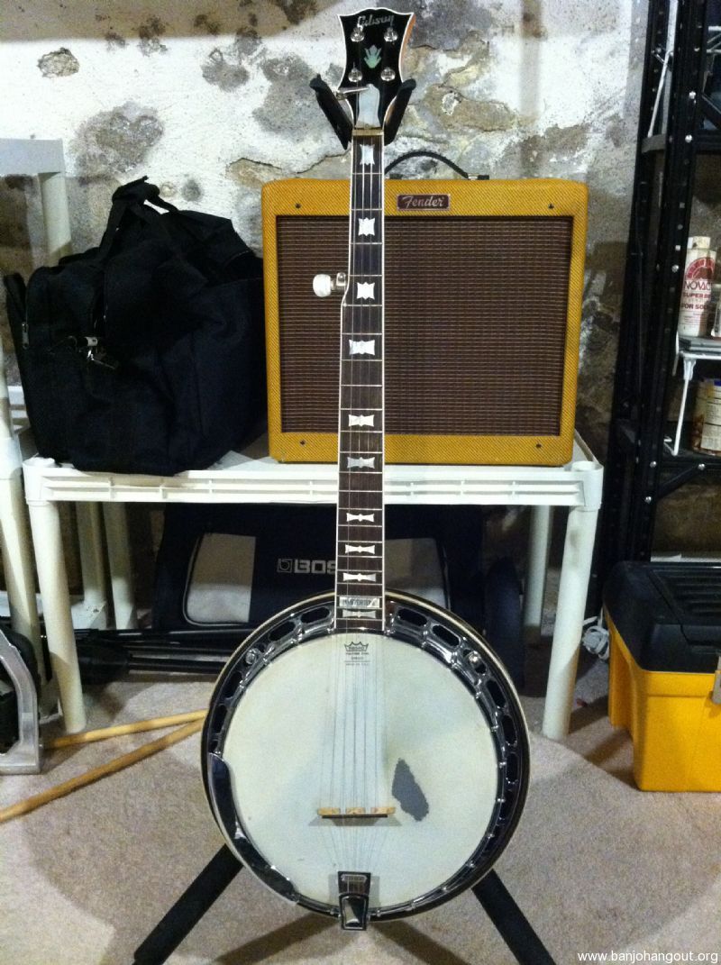 Gibson RB 250 Bowtie Price Reduced 650 Used Banjo For Sale at BanjoBuyer
