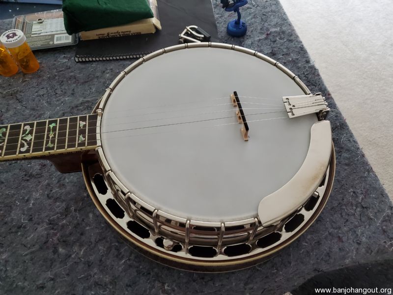 For Sale Wildwood Paragon Burled Walnut Resonator Banjo Used Banjo