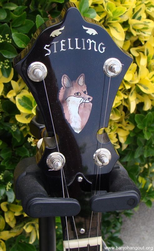 STELLING RED FOX Used Banjo For Sale at BanjoBuyer