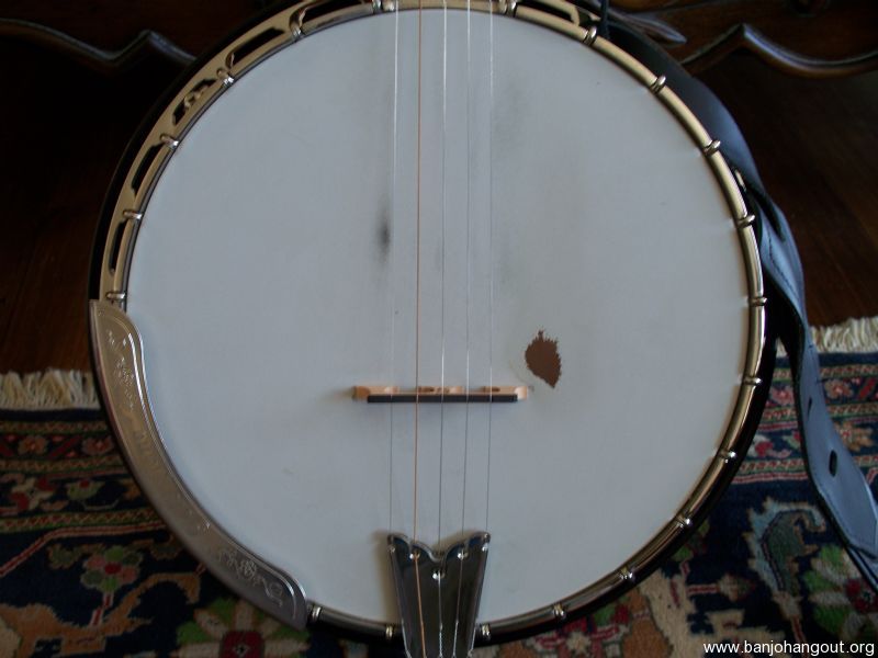 Gold Tone OB250 with case, capo, rr spikes istalled and strap Used