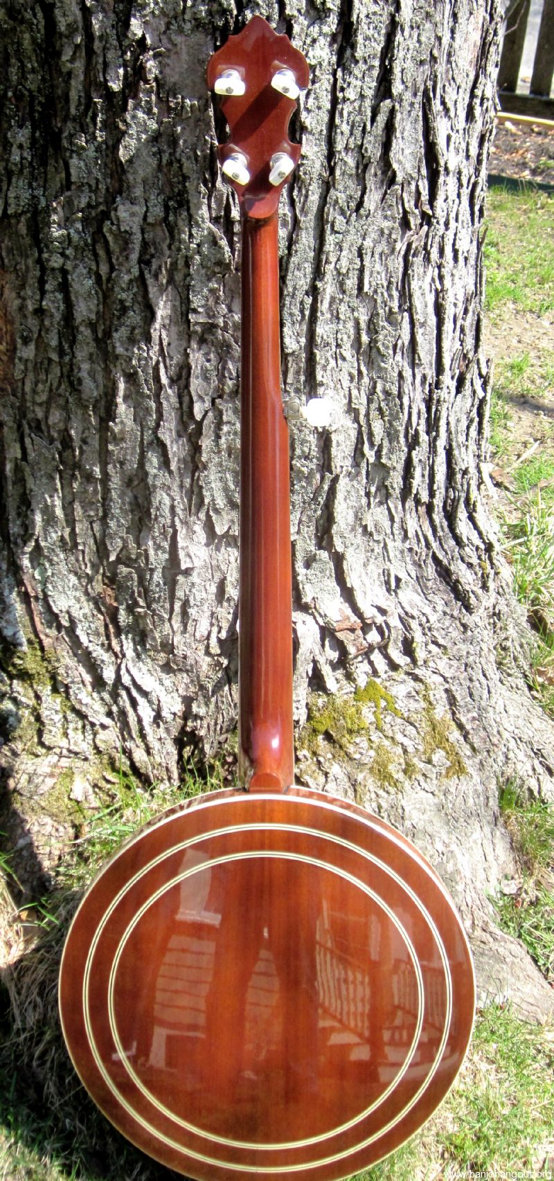 1981 Gold Star GF100 H F Used Banjo For Sale from Banjo Vault