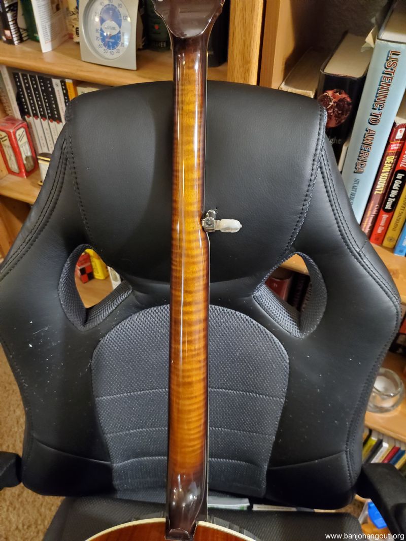 Goldstar GF 200 Hoppers DTuners Video Banjo Hangout