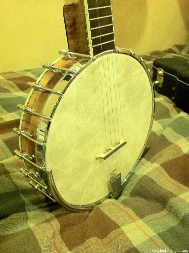 Wildwood troubadour banjo discount