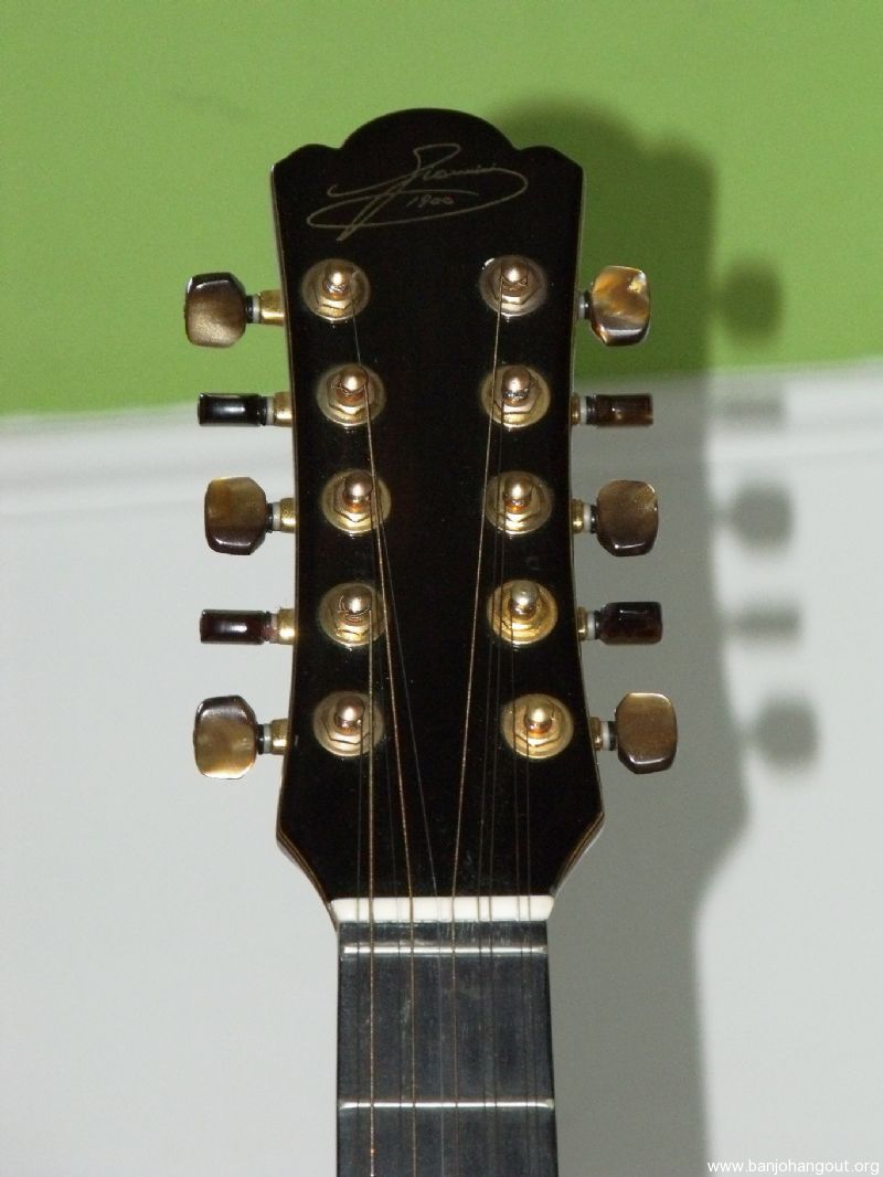 SOLD FOR SALE GIANNINI VIOLA CAIPIRA 10STRING GUITAR GVSC4 OHSC