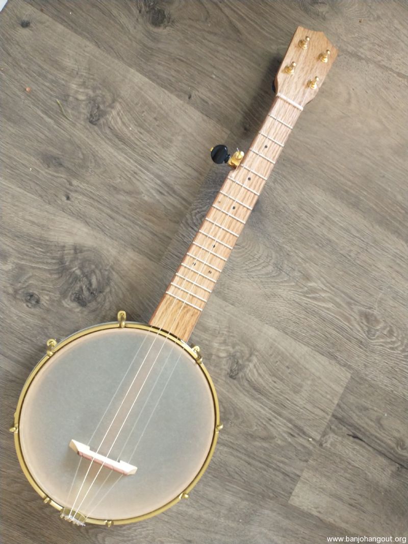 Beansprout Aaron Keim Mini 5string Banjo Used Banjo For Sale at