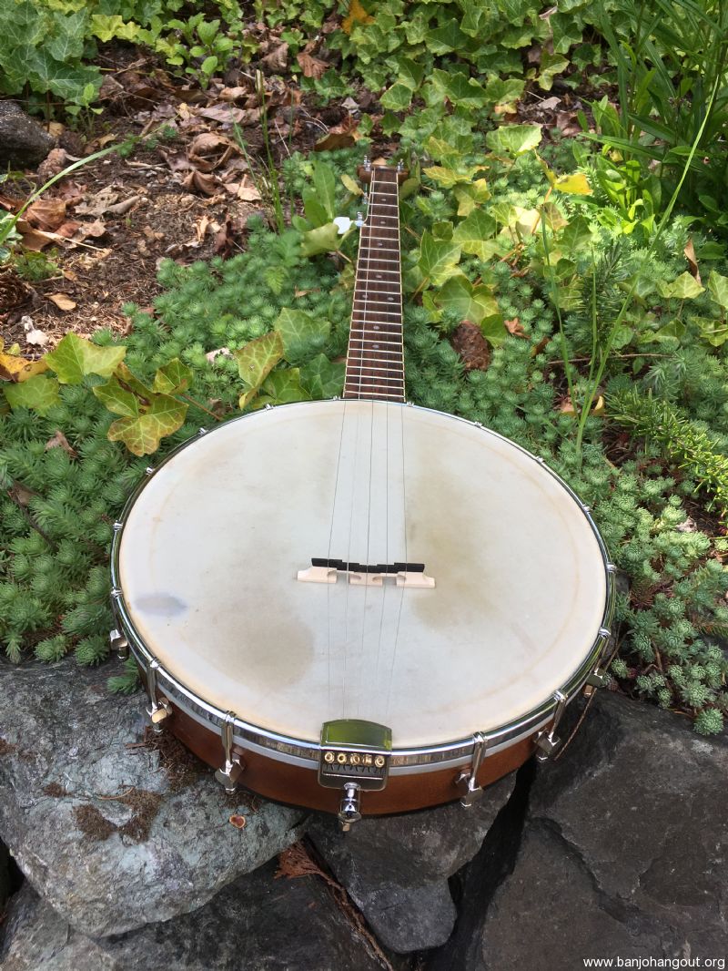 5 String Open Back Banjo Low Price LK! Used Banjo For Sale at