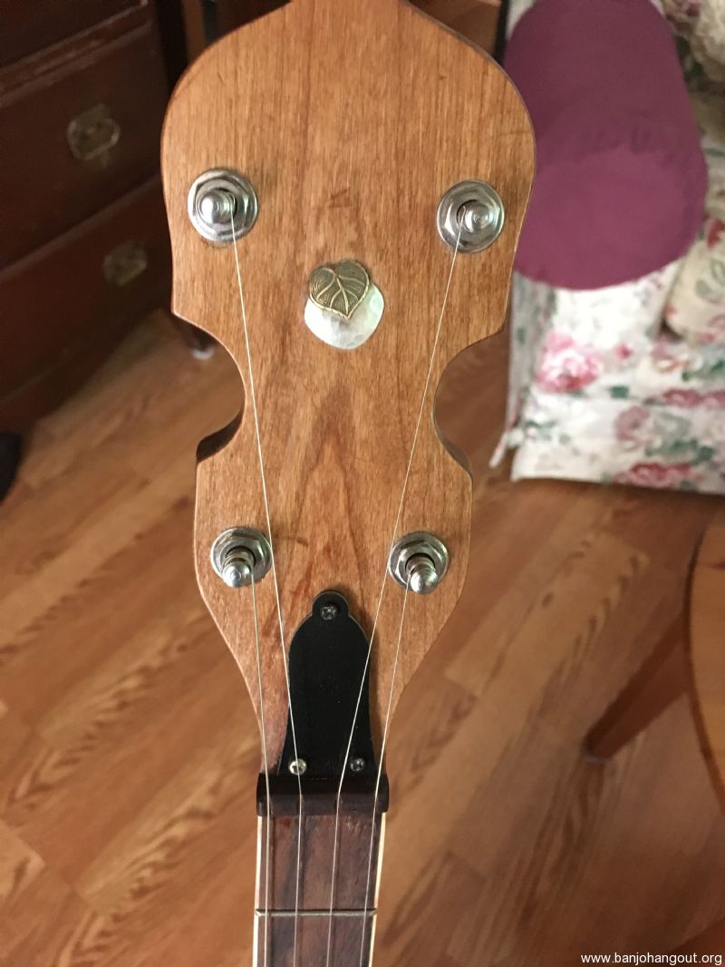 5 String Open Back Banjo Low Price LK! Used Banjo For Sale at