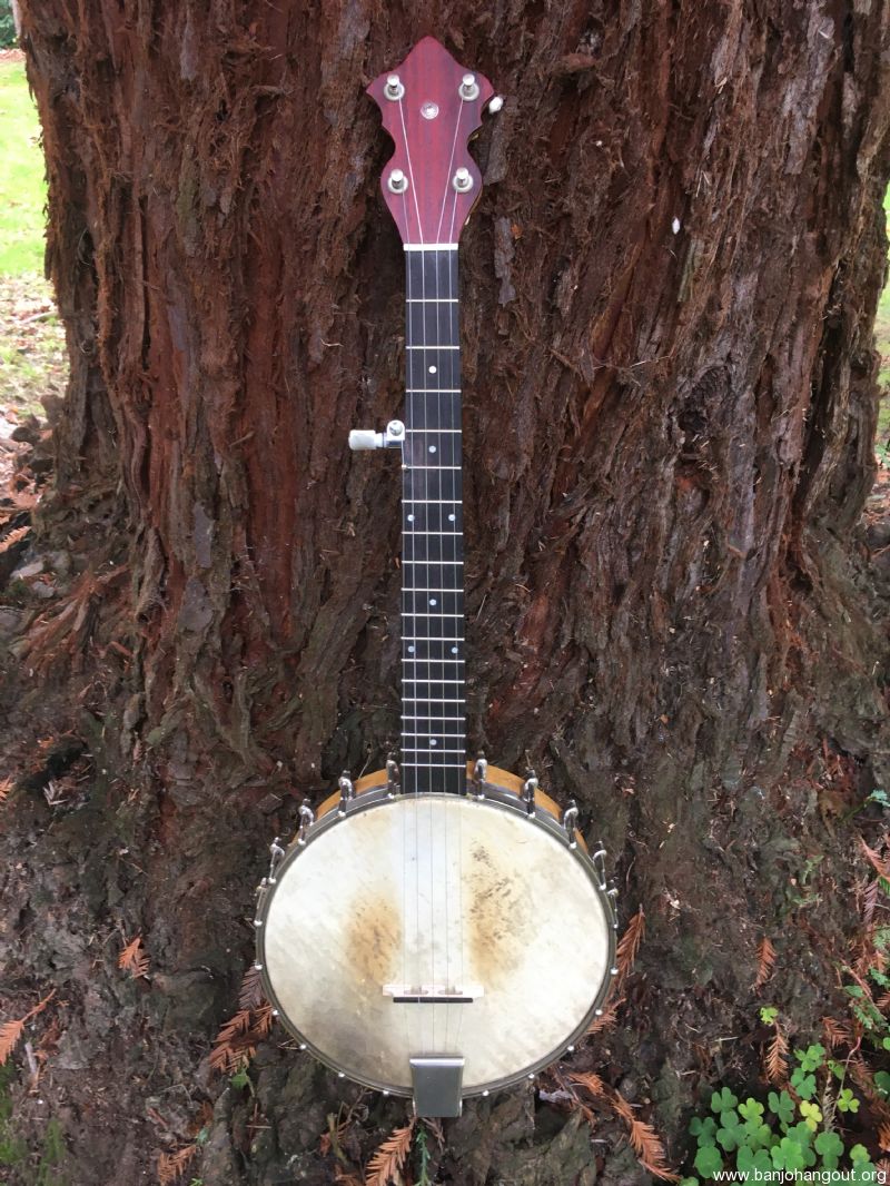 mini banjo 5 string mini banjo 5 string