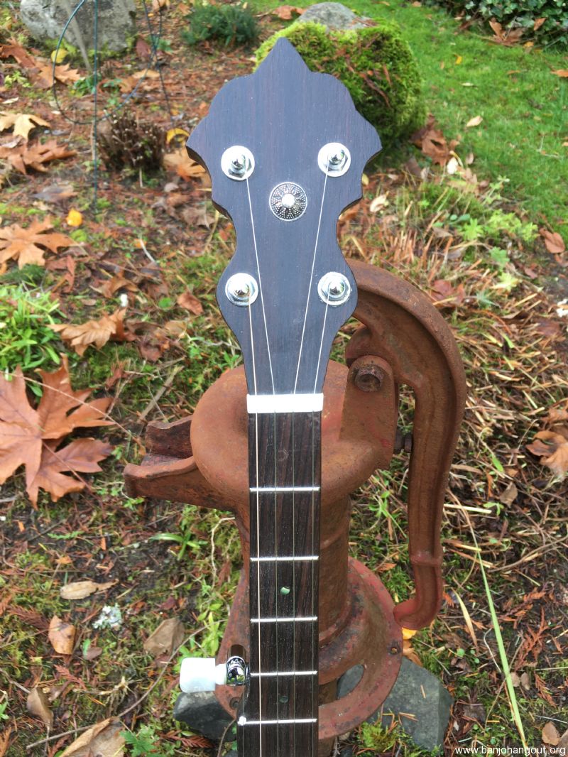 New African Black Limba with Walnut trim 11" 5 String Open Back Banjo