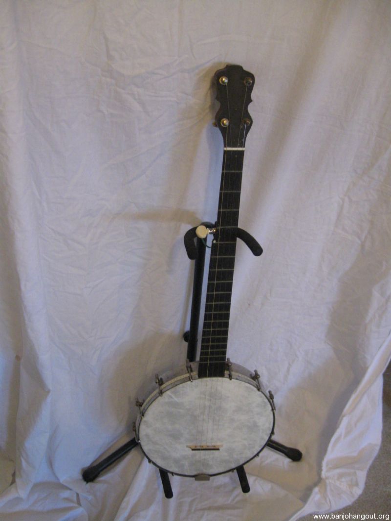 lyon and healy banjo skin lyon and healy banjo skin