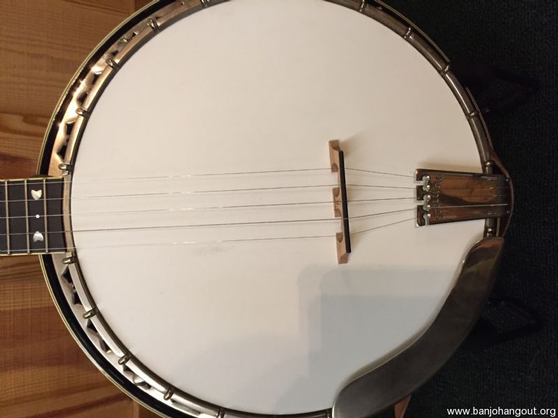 For Sale 1982 Stelling Bellflower 5String Banjo, 2050 Shipped
