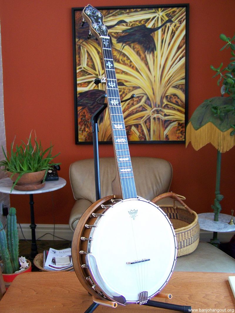 Arch top 5 strings Resonator/ Open back banjo Used Banjo For Sale at