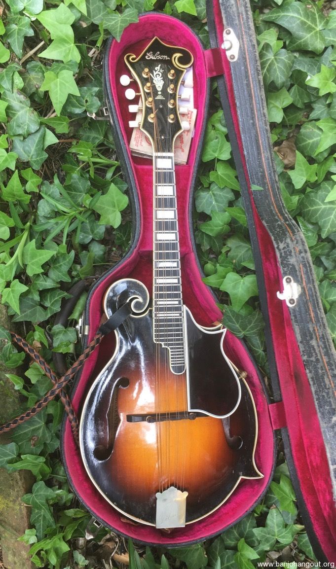 1938 Gibson F5 Mandolin Banjo Hangout