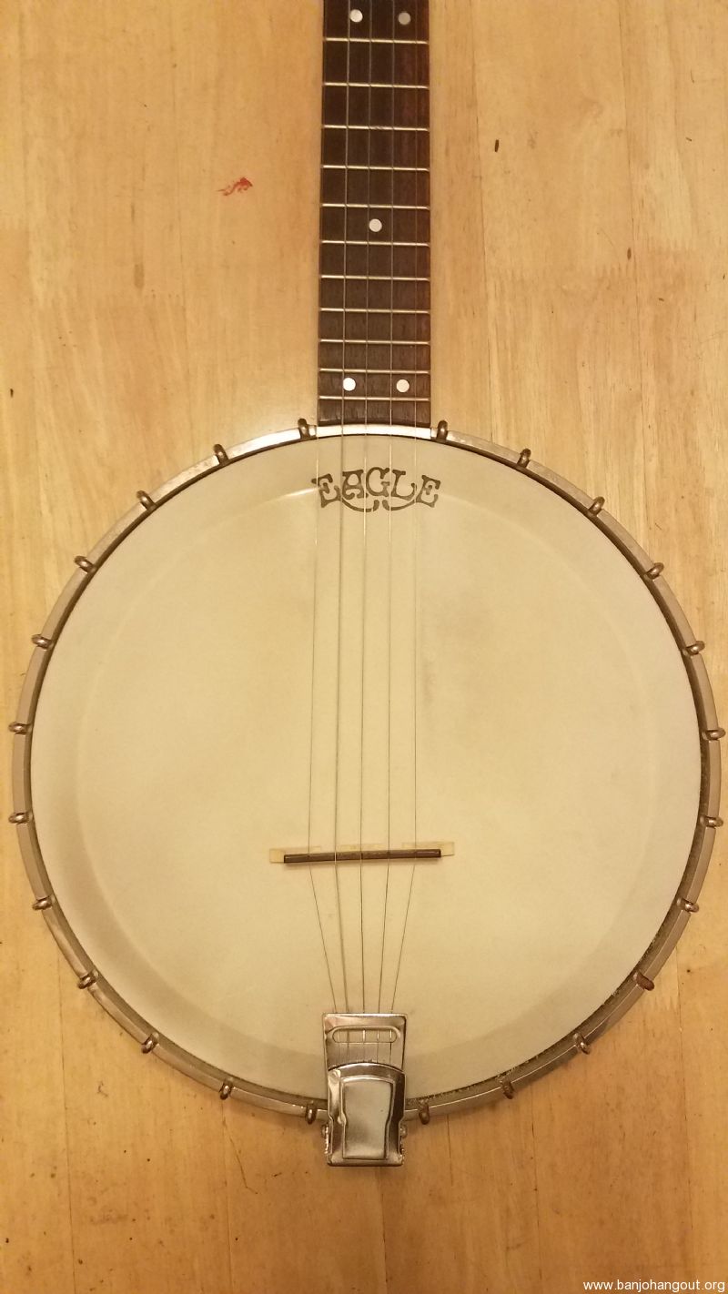 Vintage Stewart Macdonald Eagle 5 string open back banjo Used Banjo For Sale at
