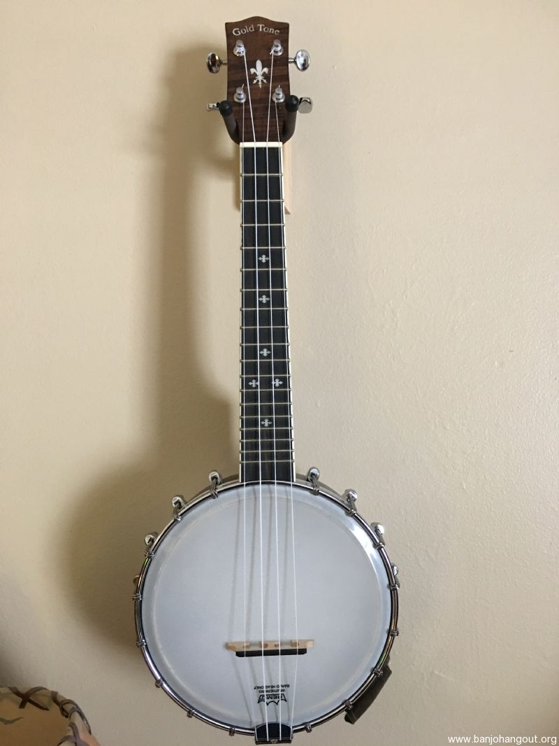 Banjolele For Sale Banjolele For Sale