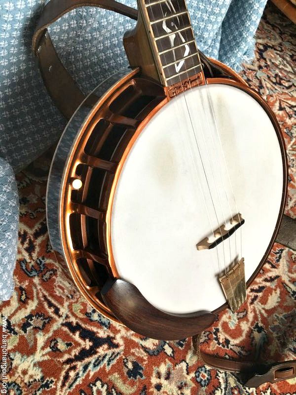 Nechville Nuvo Custom Reduced to 3800 Used Banjo For Sale at