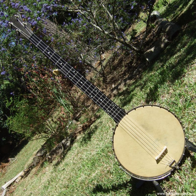 Luscomb 5 String 24 1 8 Used Banjo For Sale at BanjoBuyer